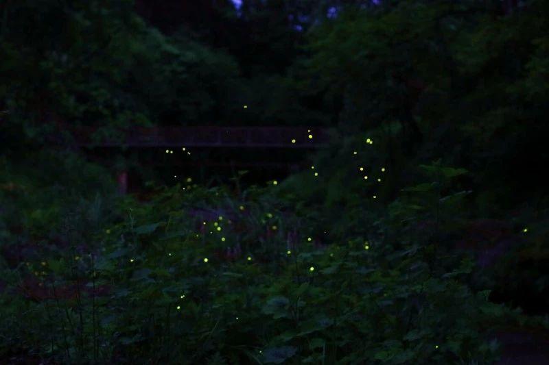 led吸顶灯与日光灯哪个节能？